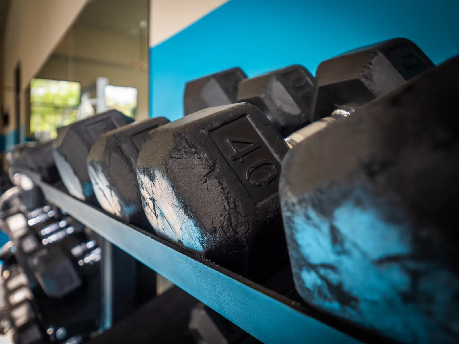 Progress 910 Gym 1